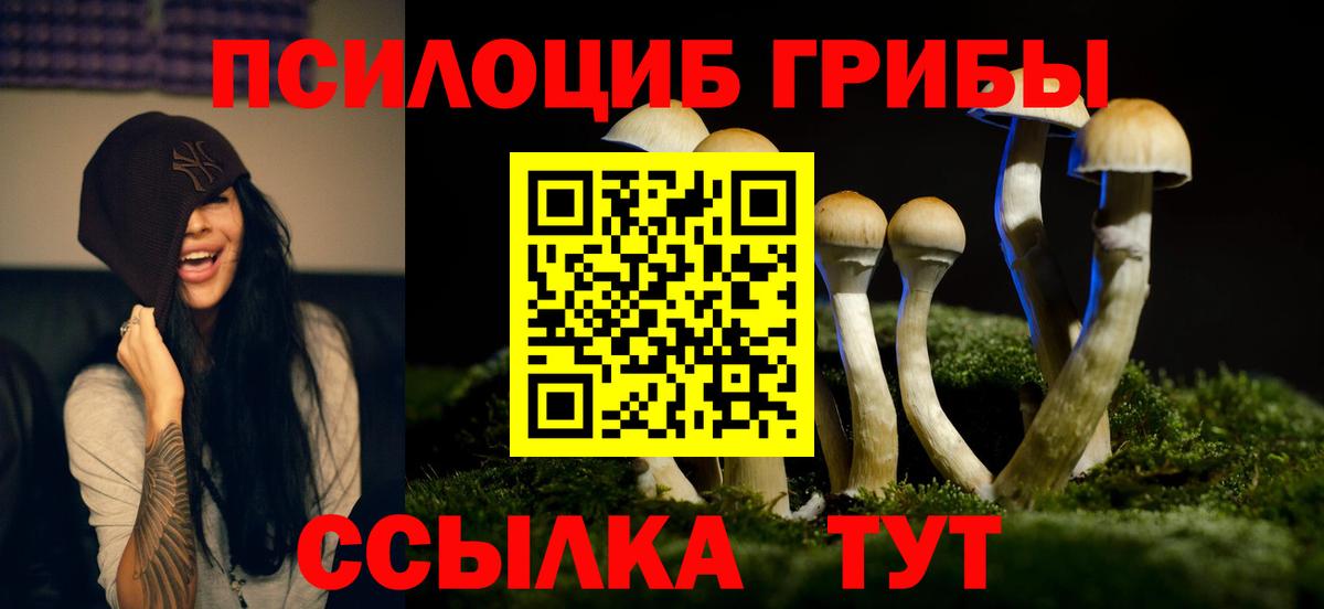 Псилоцибиновые грибы мицелий  Вход с VPN  Вологда 