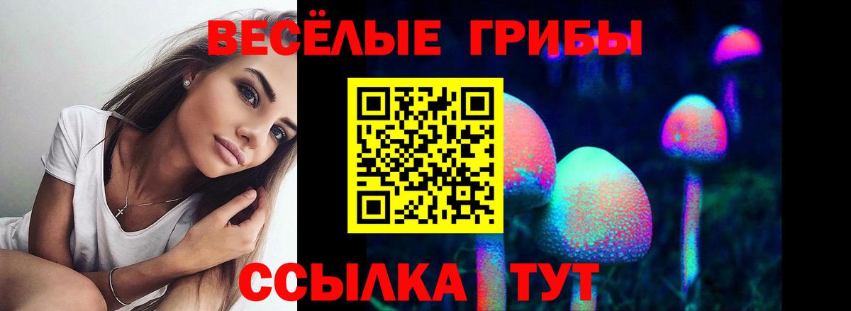 Галлюциногенные грибы прущие грибы Вологда